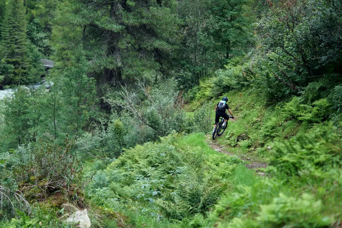 person cycling on forest